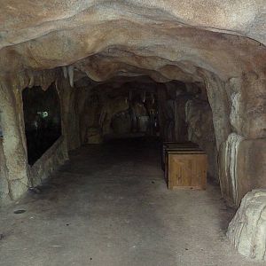 Tropics of the Americas - Cave