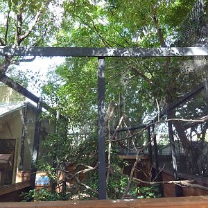 Kookaburra/Tawny Frogmouth Exhibit