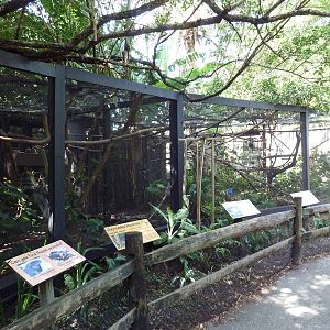 South American Exhibits