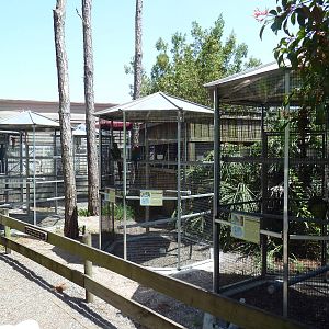 Bird Aviaries