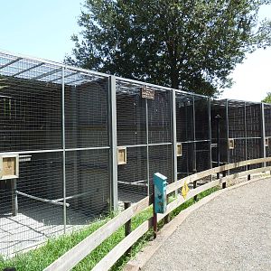 Birds of Prey Aviaries