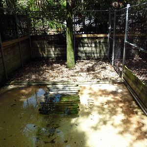 American Crocodile Exhibit