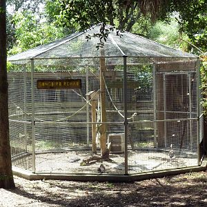 Songbird Rehab Aviary