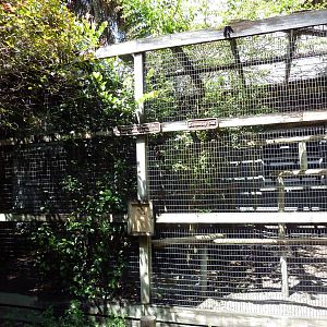 Burrowing Owl Exhibit
