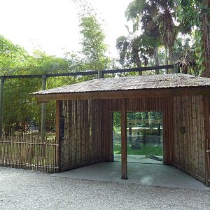 Malayan Tiger Exhibit