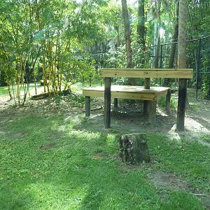 Malayan Tiger Exhibit