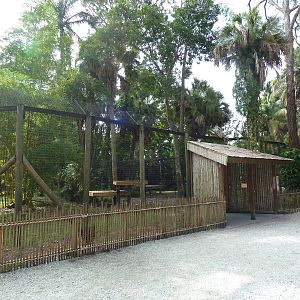 Malayan Tiger Exhibit