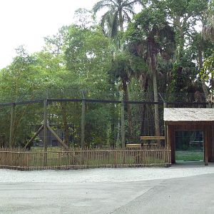 Malayan Tiger Exhibit