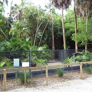 Parma Wallaby Exhibit