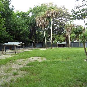 Blackbuck/Reeve's Muntjac Exhibit