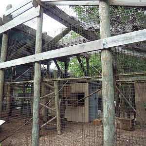 Fosa Exhibit