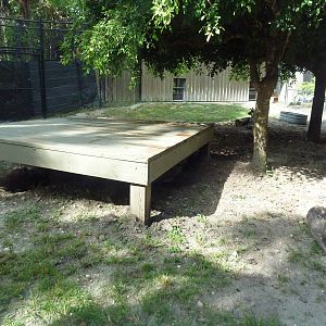 Striped Hyena Exhibit