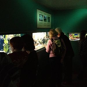 Chester Zoo Visit 30 August 2012 Aquarium