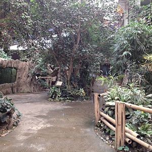 Chester Zoo Visit 30 August 2012 Elephant house