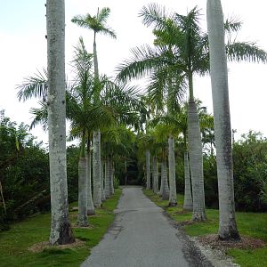 Visitor Pathway