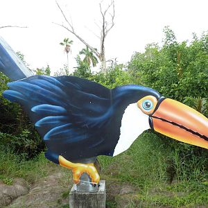 Toucan Sign