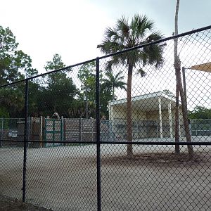 Giraffe Exhibit (temporary for the next couple of years)