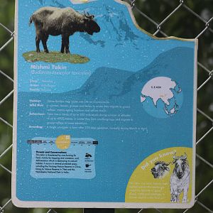 rain soaked Takin label Paignton Zoo 25th August 2012