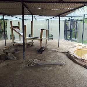 Ratel Exhibit