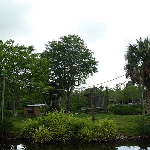 Primate Expedition Cruise