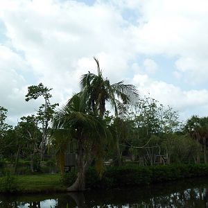 Primate Expedition Cruise