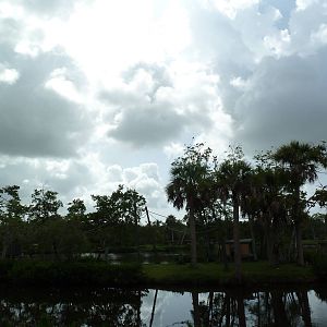 Primate Expedition Cruise