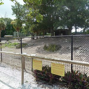 Grant's Zebra/Damara Zebra Exhibit