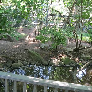 Alligator Alley- Free-Flight Aviary