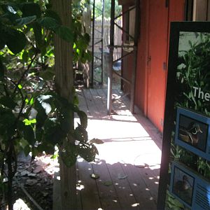 Alligator Alley- Free-Flight Aviary
