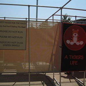 Amur Tiger Maze Entrance