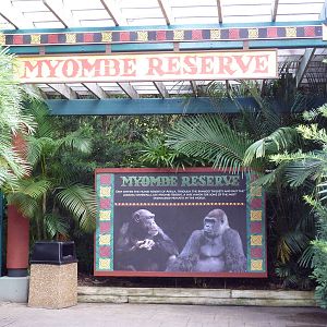 Myombe Reserve - Entrance Sign