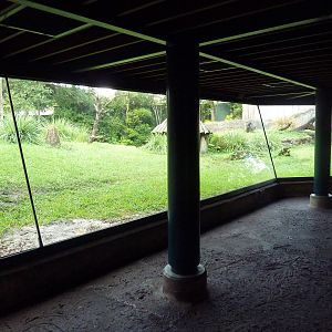 Myombe Reserve - Chimpanzee Exhibit