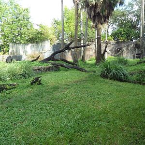 Myombe Reserve - Chimpanzee Exhibit