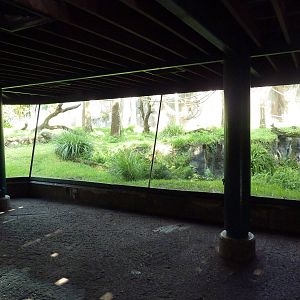 Myombe Reserve - Chimpanzee Exhibit
