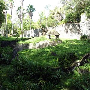 Myombe Reserve - Chimpanzee Exhibit
