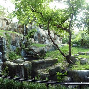 Myombe Reserve - Gorilla Exhibit