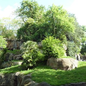 Myombe Reserve - Gorilla Exhibit - See the Gorilla?