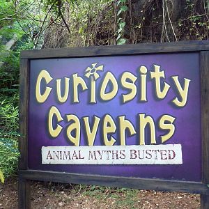Curiosity Caverns - Entrance Sign