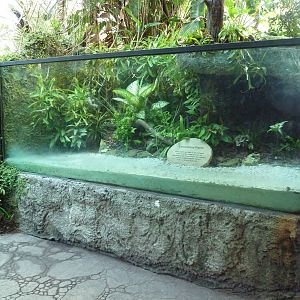 Carnivorous Plant Exhibit