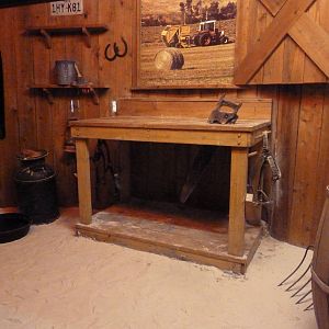 Curiosity Caverns - Ratsnake Exhibit
