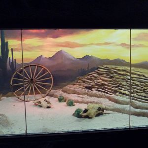 Curiosity Caverns - Gila Monster Exhibit