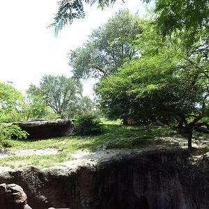 Edge of Africa - Lion/Spotted Hyena Rotational Exhibit
