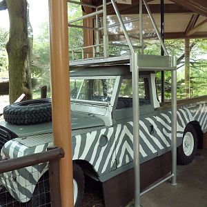 Edge of Africa - Lion/Spotted Hyena Rotational Exhibit