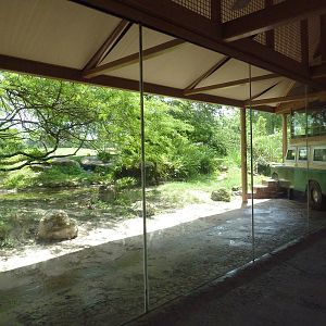 Edge of Africa - Lion/Spotted Hyena Rotational Exhibit