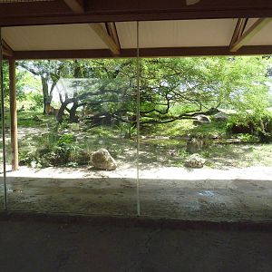 Edge of Africa - Lion/Spotted Hyena Rotational Exhibit