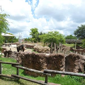 Asian Elephant Exhibit