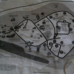 Zoo Map