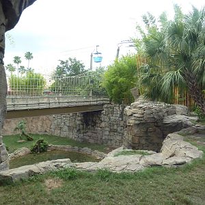 Jungala - Tiger Exhibit