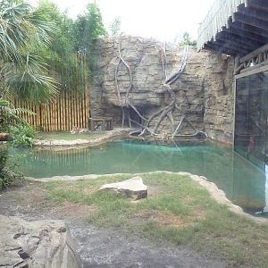 Jungala - Tiger Exhibit
