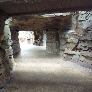 Jungala - Tiger Exhibit (Visitor Tunnel)